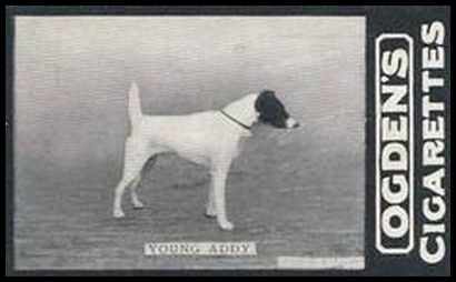 01OGIA2 87 Young Addy.jpg